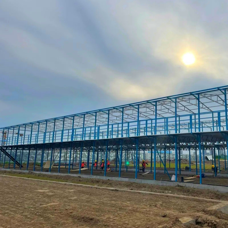 Prefabricated Steel Structure Warehouse Pre-Engineered Metal Architecture Buildings Steel Structure Building