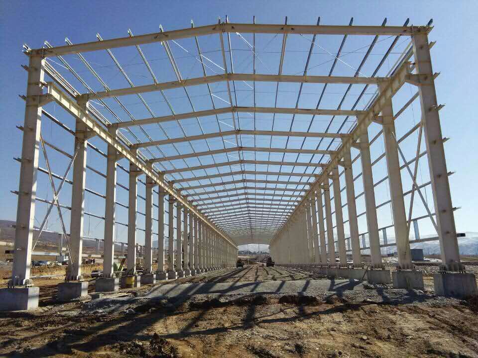 Lida Group Factory Supply Modernized Steel Structure Farm House Low Cost Large Span Steel Building