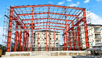 Lida Group develops standardized prefabricated steel structure building system for fireproof chicken houses to support expanding commercial poultry operations.